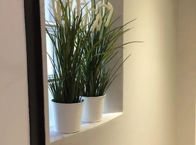 別荘 Cinema Video-projecteur Et Garage